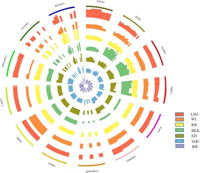 Population Genomic Sequencing Delineates Global Landscape of Copy Number Variations that Drive Domestication and Breed Formation of in Chicken